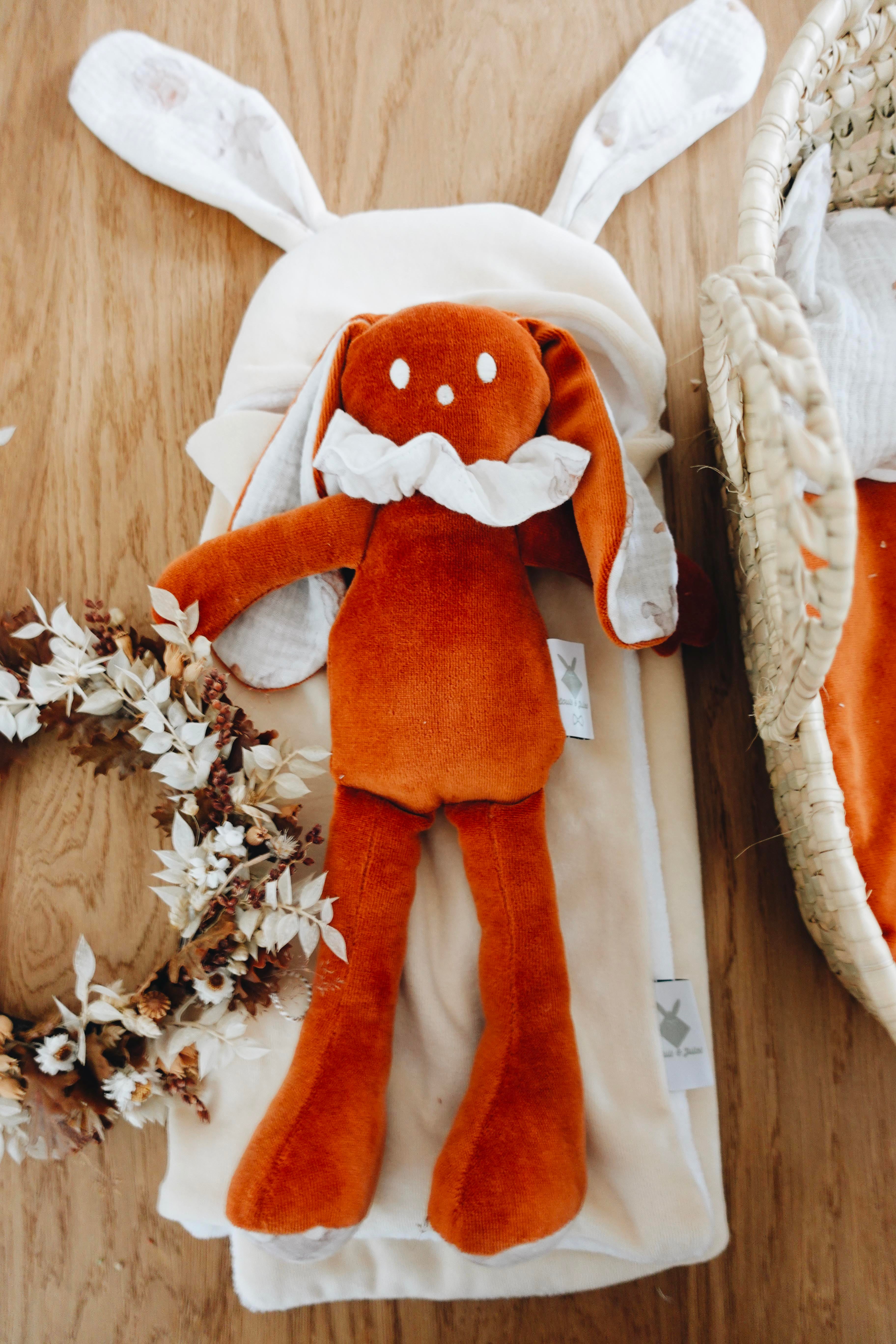 PROTOTYPE -Coffret Couffin Peluche - Câlins