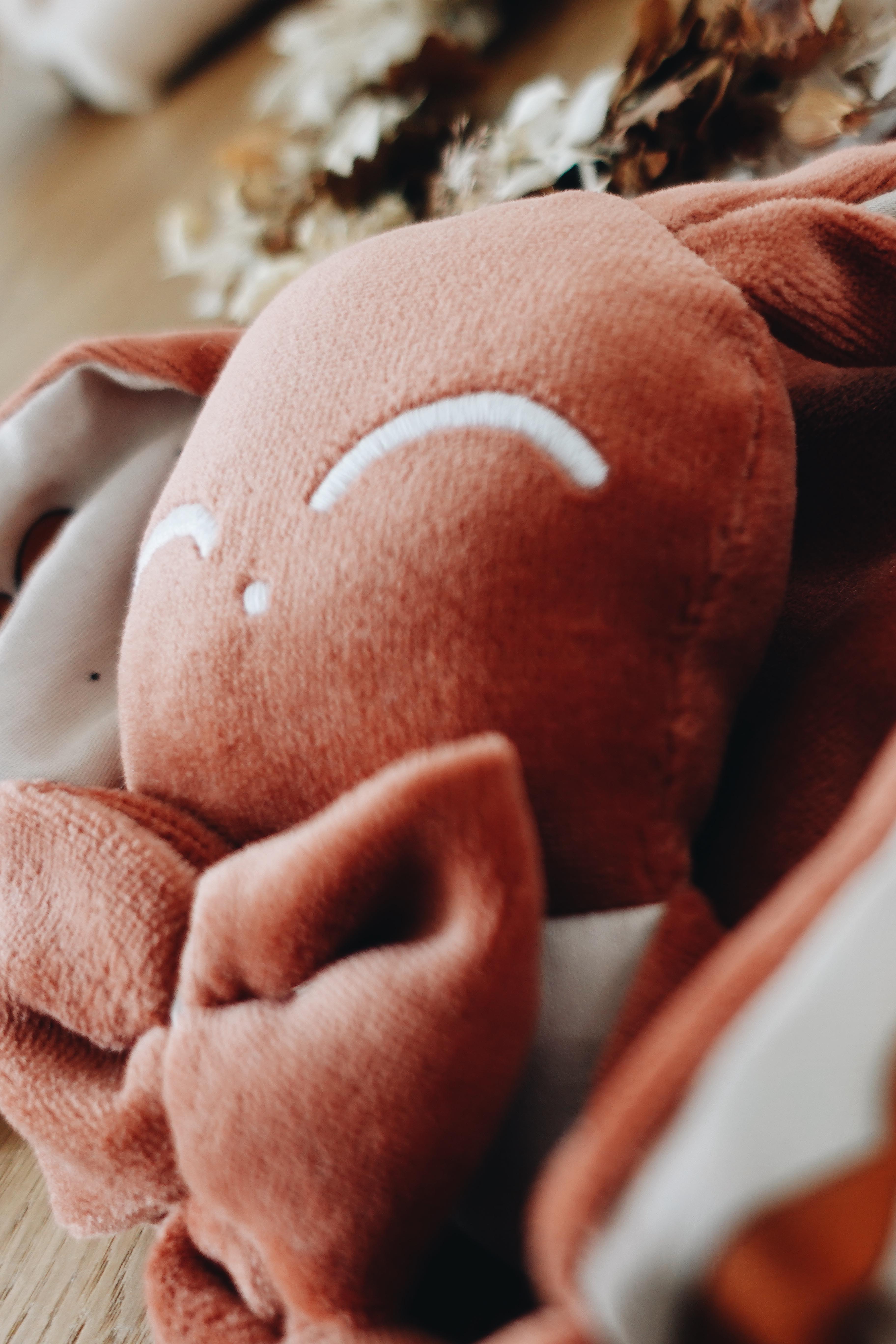 PROTOTYPE - Doudou Velours Chouchou - Ecureuil