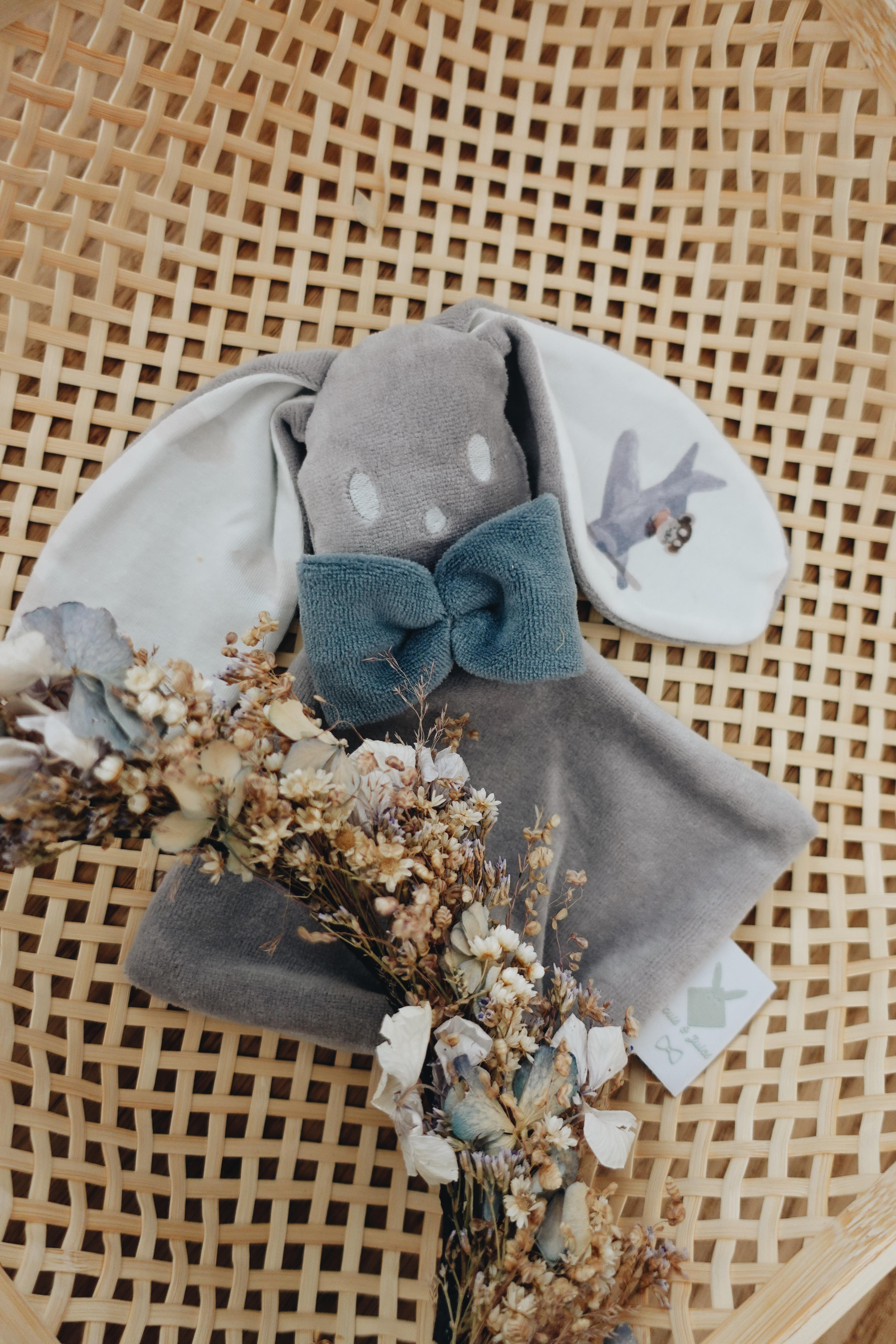 PROTOTYPE - Bébé Doudou Velours - Airplane