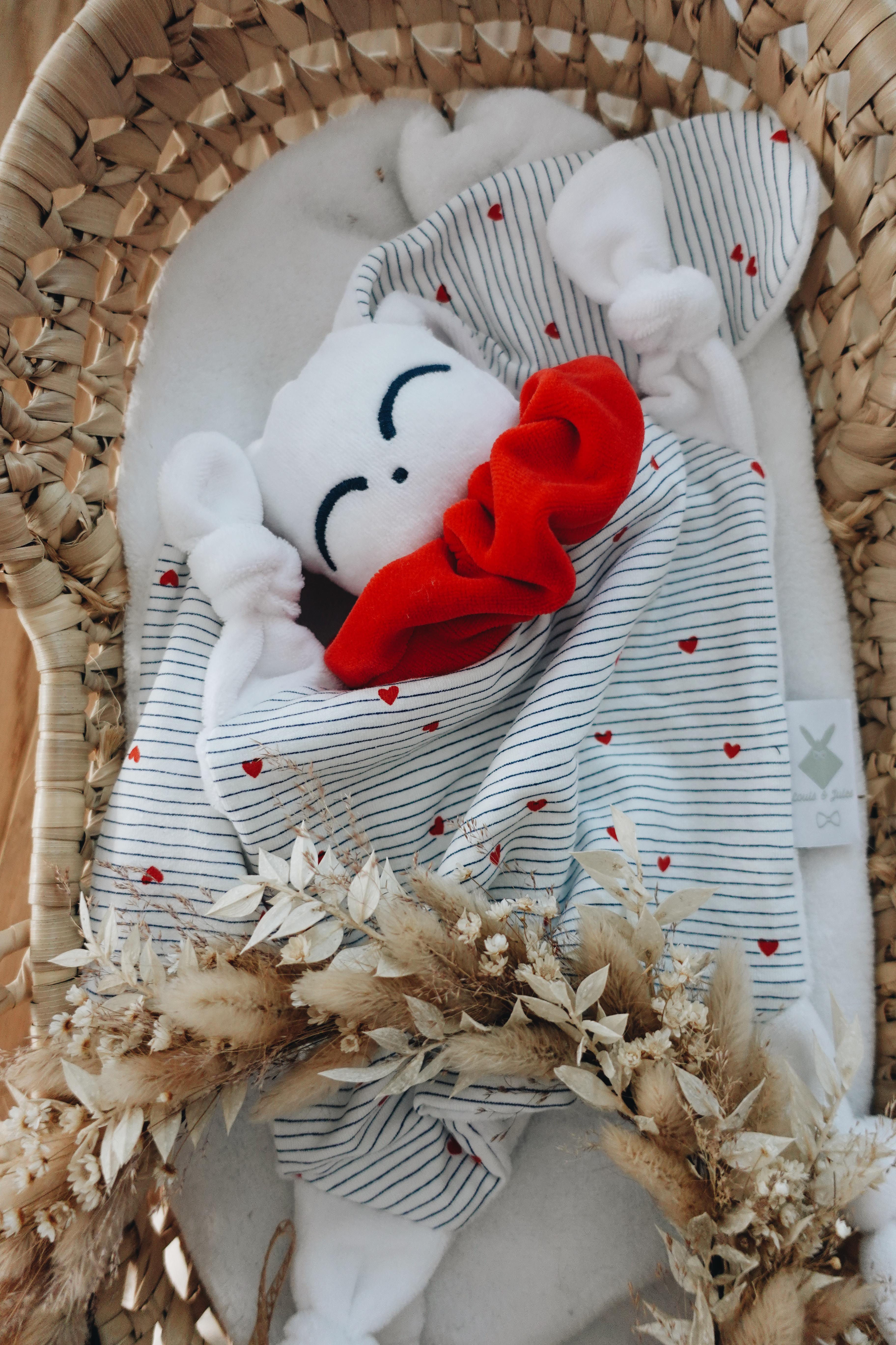 PROTOTYPE - Doudou Velours Chouchou - France