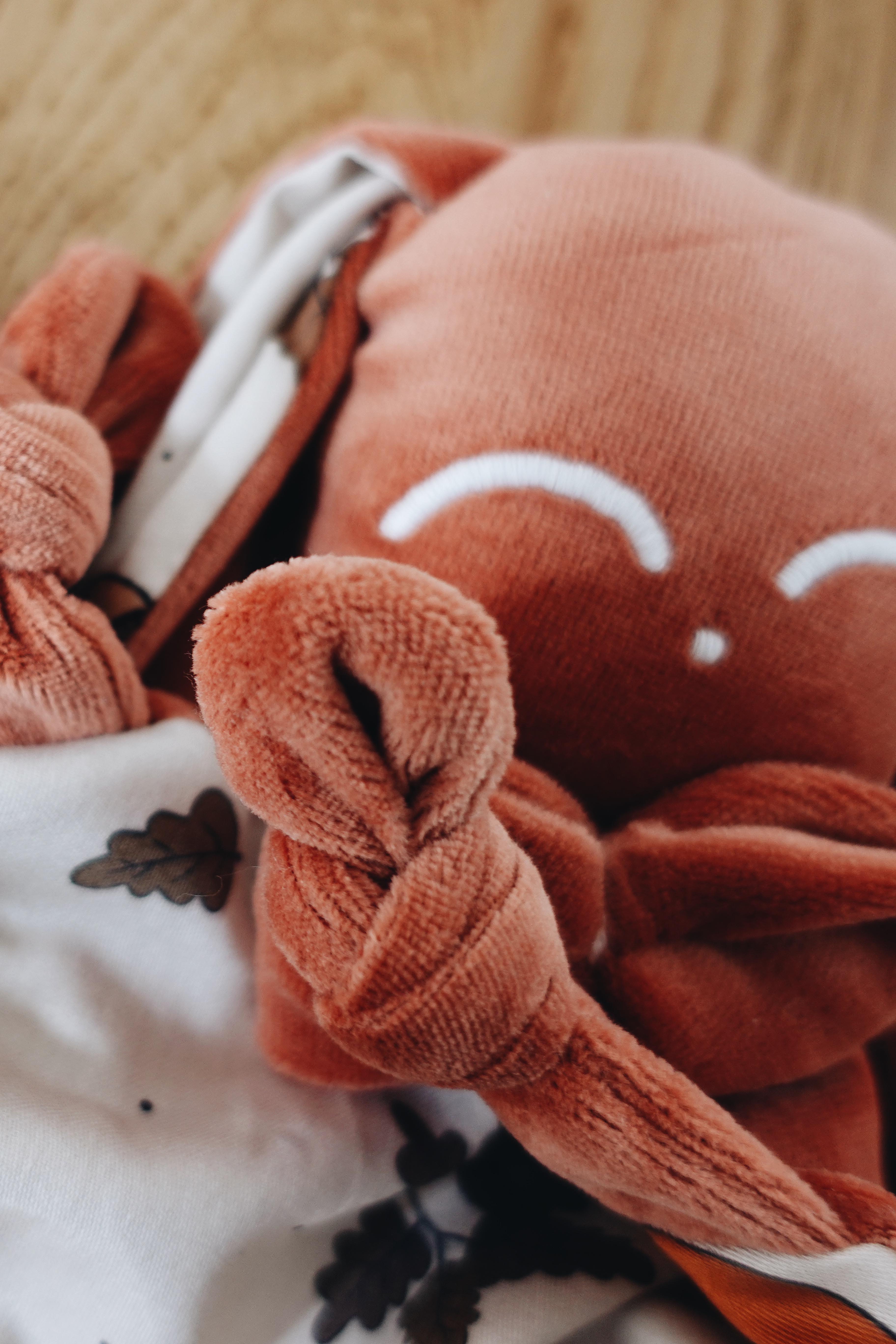 PROTOTYPE - Doudou Velours Chouchou - Ecureuil