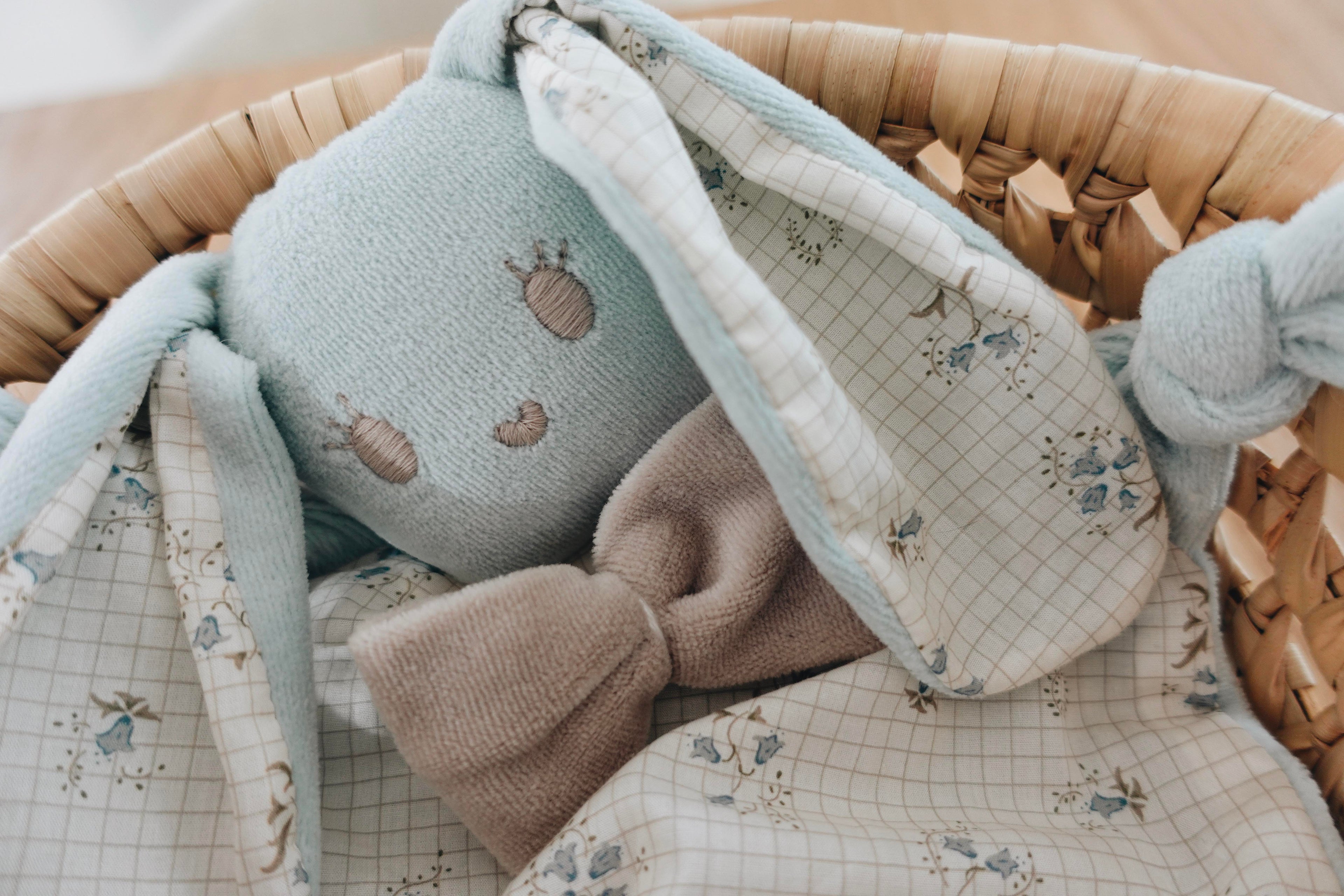 PROTOTYPE - Doudou Velours Chouchou - Bristol