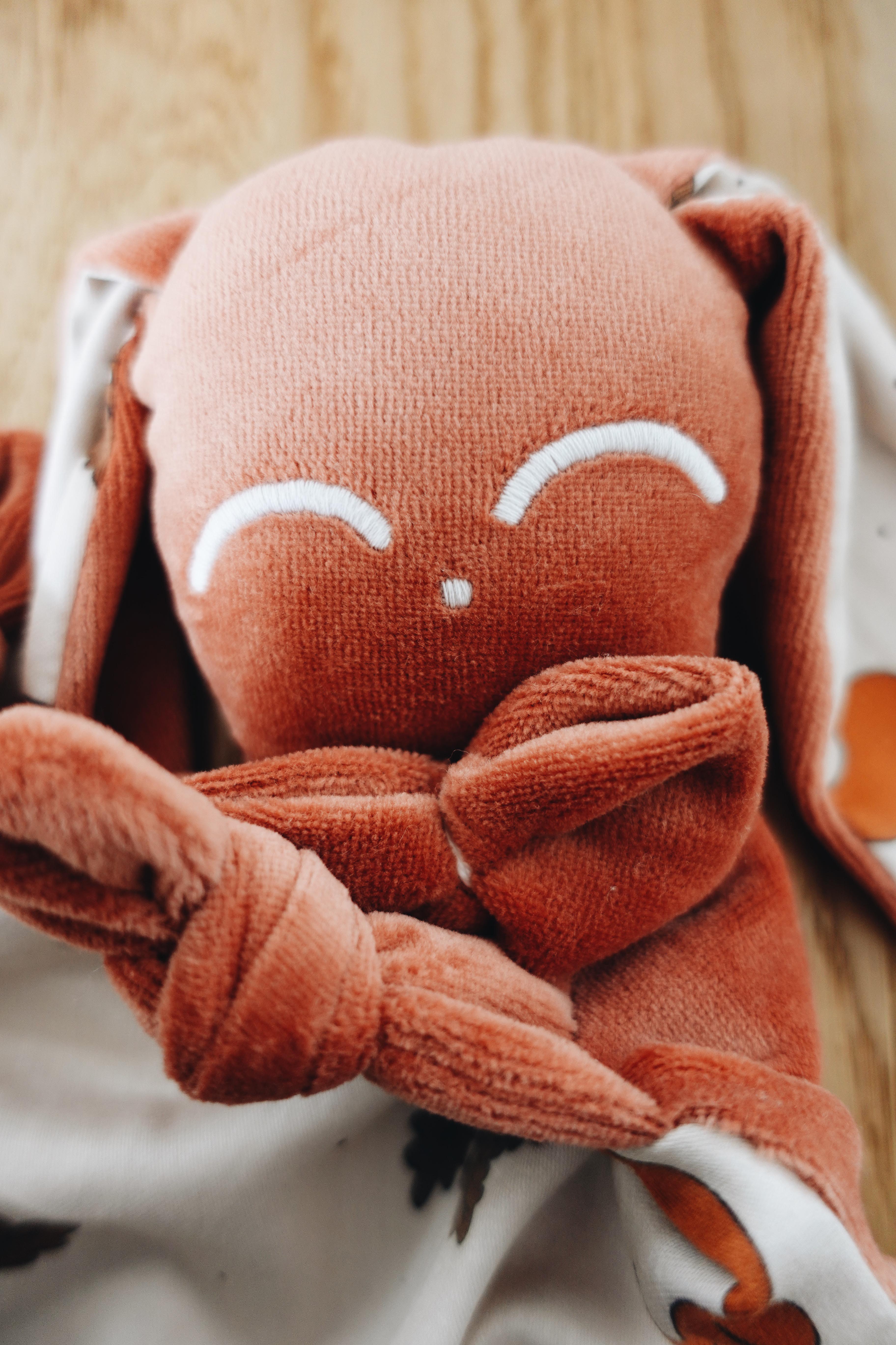 PROTOTYPE - Doudou Velours Chouchou - Ecureuil