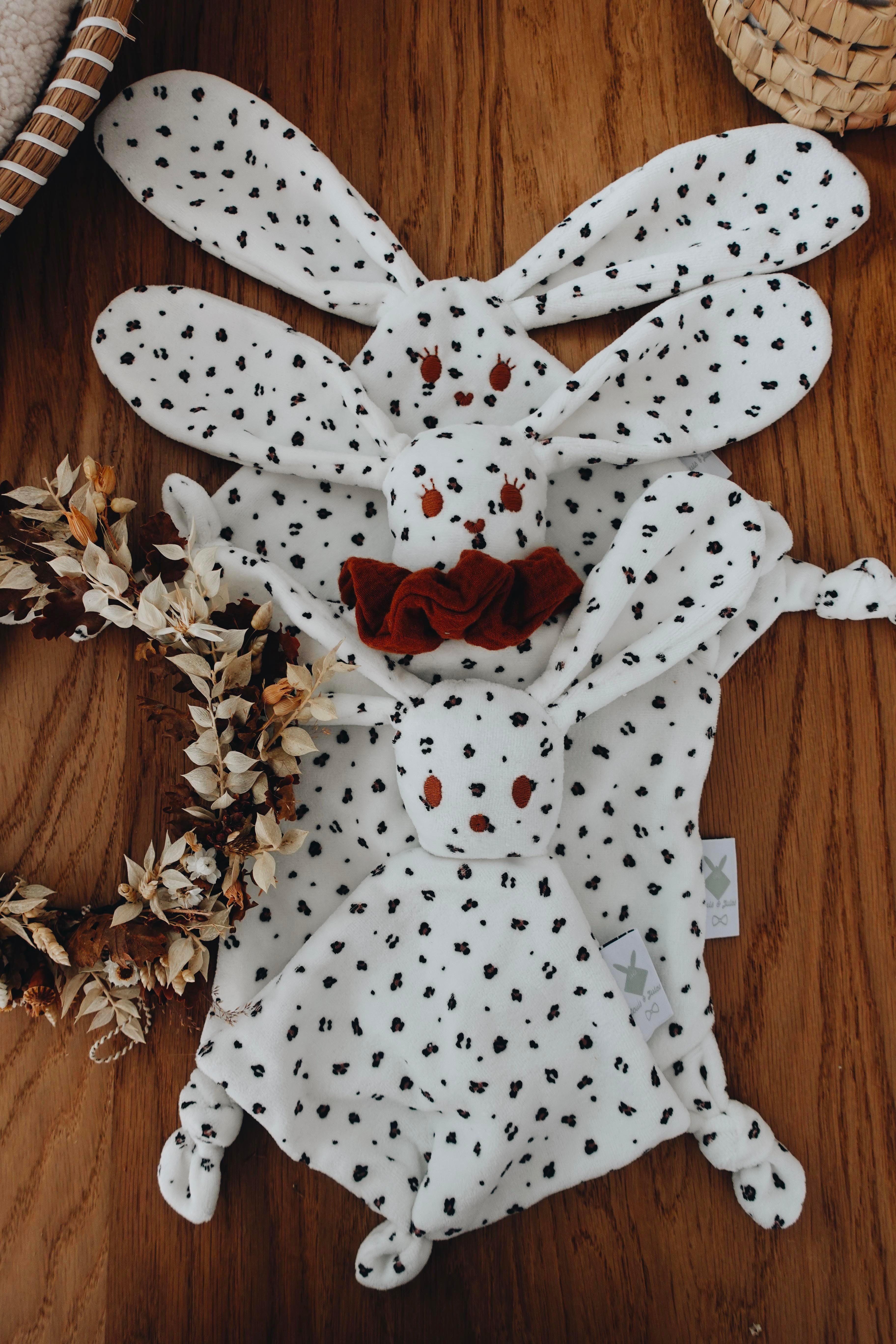 PROTOTYPE - Bébé Doudou Velours - Graou