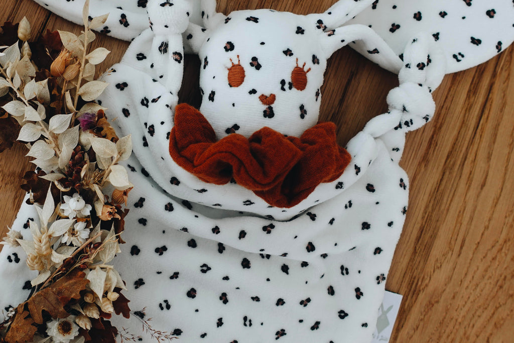 PROTOTYPE - Doudou Velours Chouchou - Graou